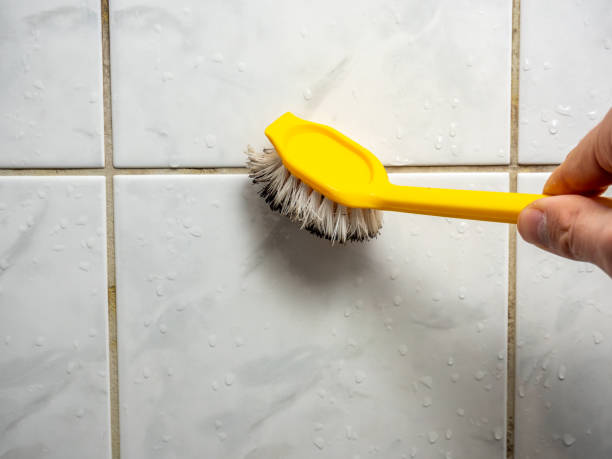 Best Toxic Mold Removal  in Ridgefield, NJ