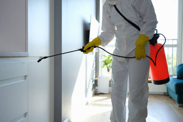 Mold Testing and Removal in Ridgefield, NJ