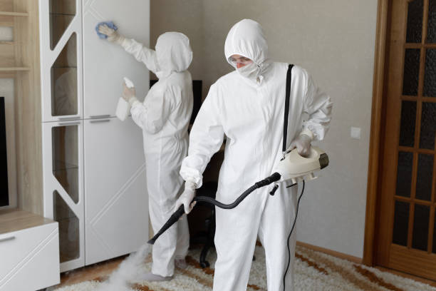 Certified Mold Removal in Ridgefield, NJ