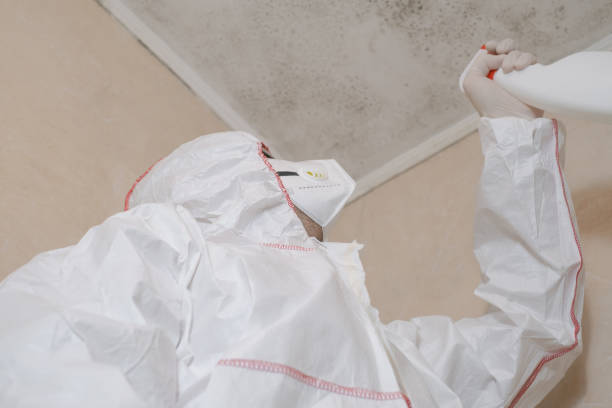 Best Certified Mold Removal  in Ridgefield, NJ