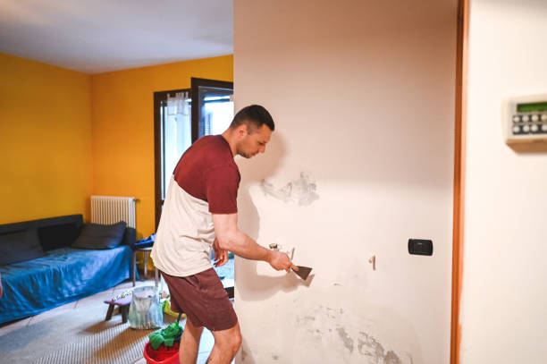 Best Black Mold Removal  in Ridgefield, NJ